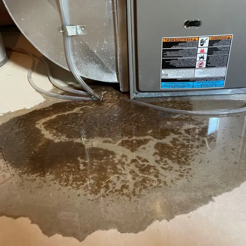 Pipe Burst and Leak Restoration in Grapevine, TX