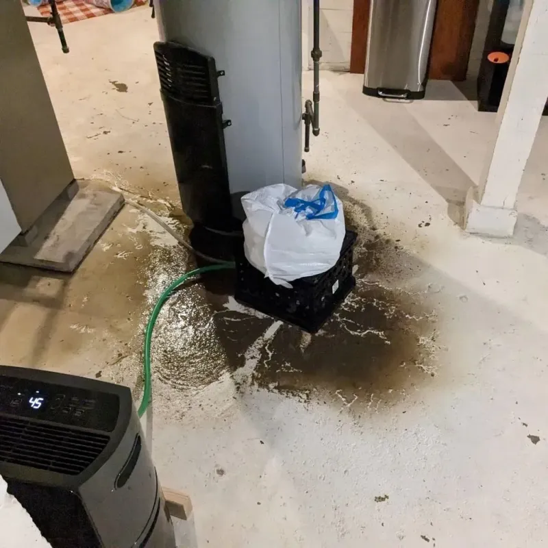 Sewage Backup Cleanup Service in Grapevine, TX